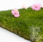 Turf 3