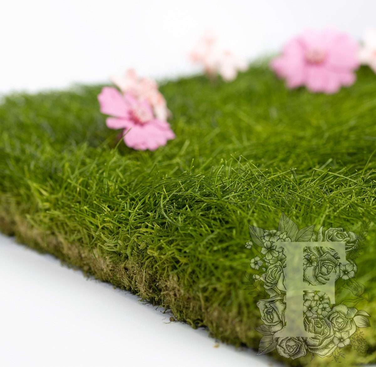 Turf 3