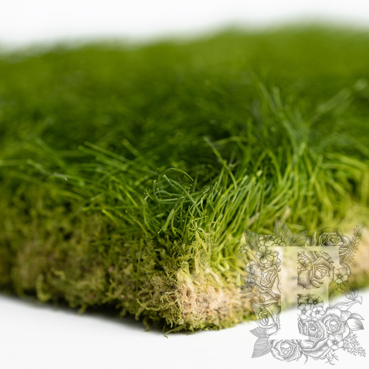 Turf 4