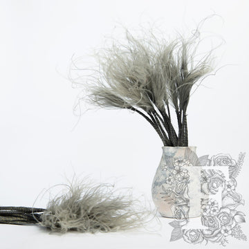 stypha grey 1