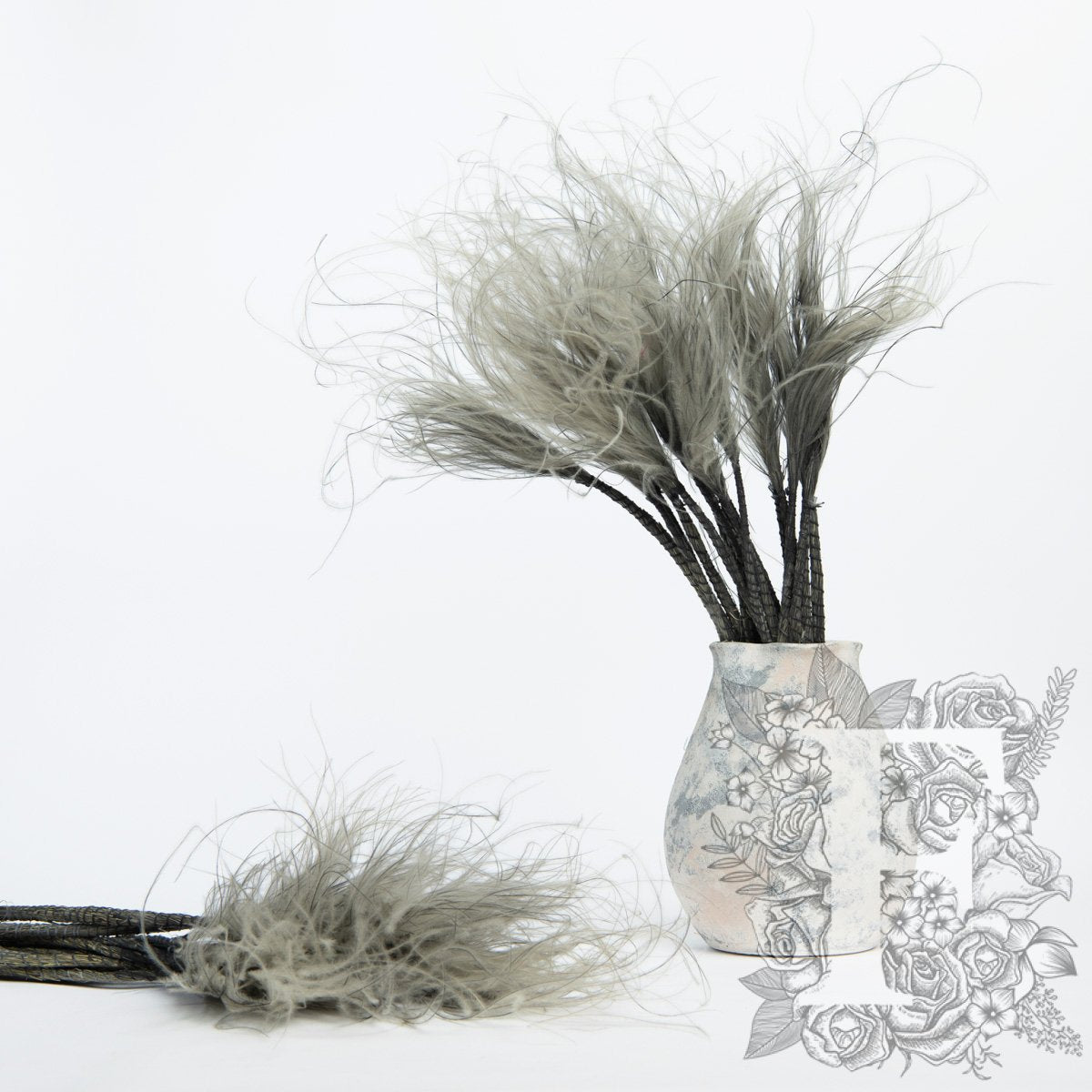 stypha grey 1