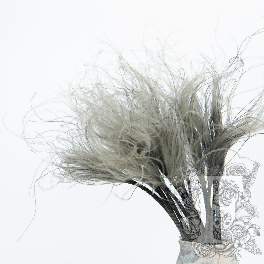 stypha grey