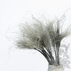stypha grey