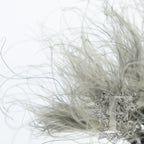 stypha grey 3