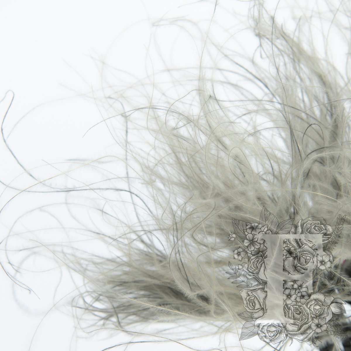 stypha grey 3