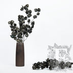 Bougainvillea - Stem