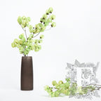 Bougainvillea - Stem