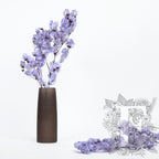 Bougainvillea - Stem