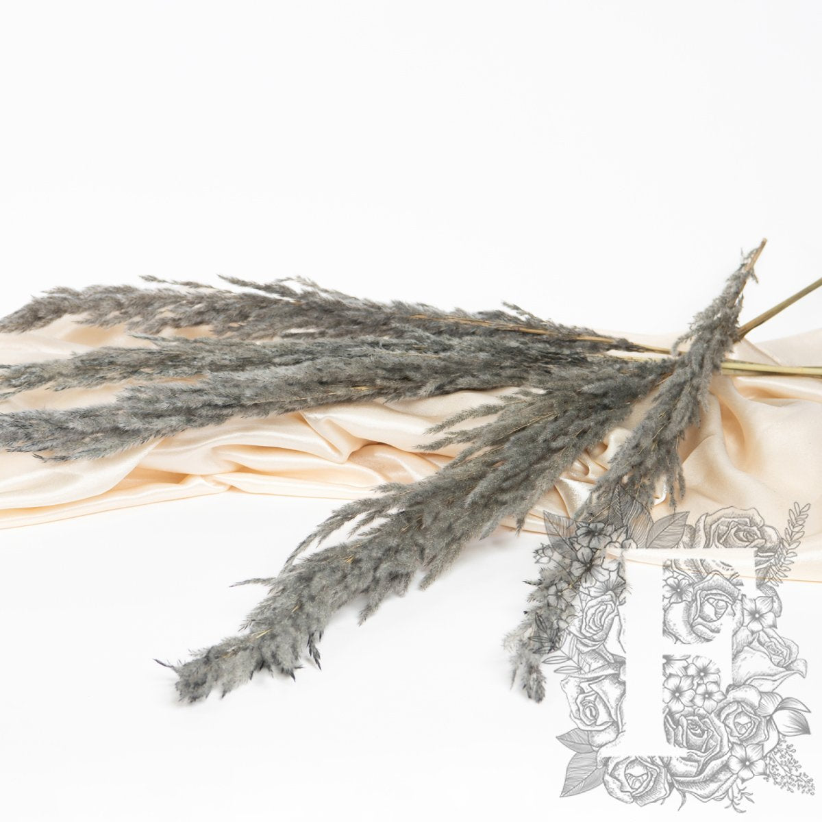Pampas - Eryanthus - 3 Stem - 120cm