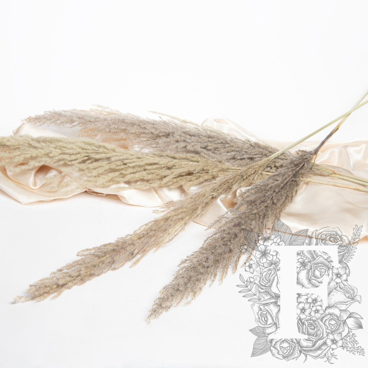 Pampas Eryanthus 1