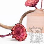 Barbigera Pink 2