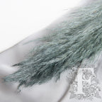 pampas metallic 3