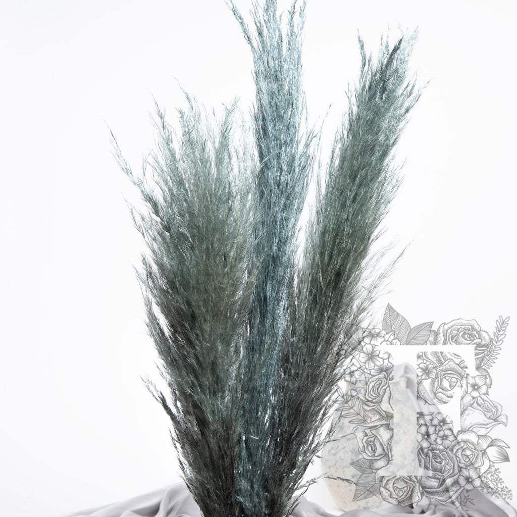 pampas metallic 4