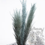 pampas metallic 4