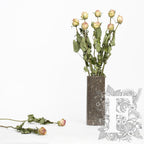 Dried Rose Light Pink 1