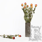 Dried roses - 10 stems- Bunch