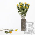 Dried roses - 10 stems- Bunch