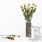 Dried roses - 10 stems- Bunch