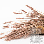 Trigo Blush 3