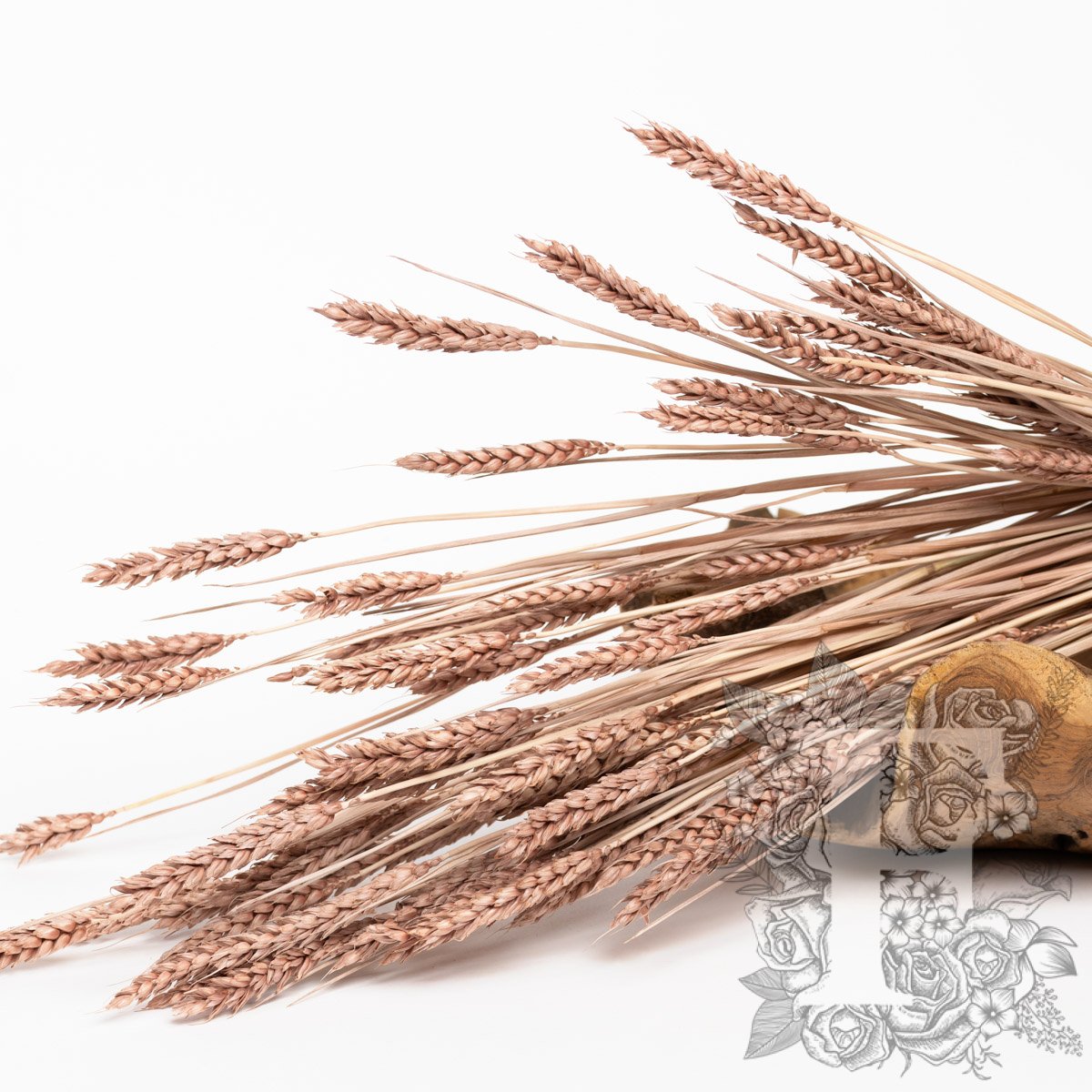 Trigo Blush 3