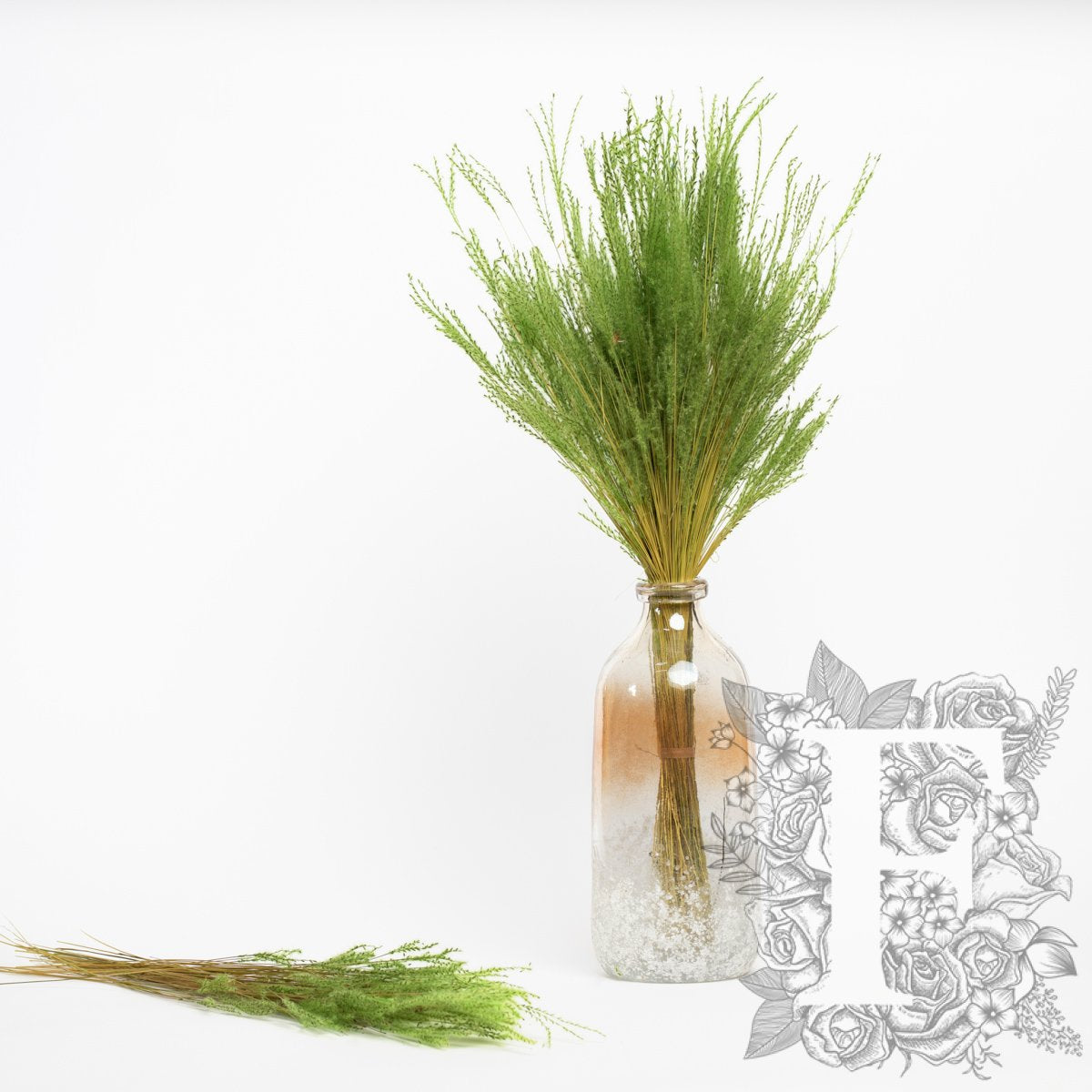 Fine grass - bunch
