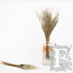 Fine grass - bunch