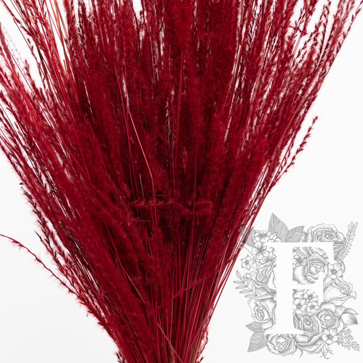 Fine Grass Red 2