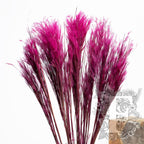 Pluminha Cerise 3