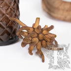 Spidergum Claw 3