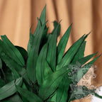Willow green 1