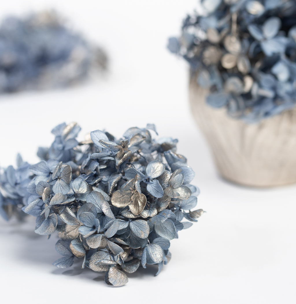 Peegee Hydrangea - Box