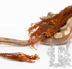 Brunia Branch - 3 stems