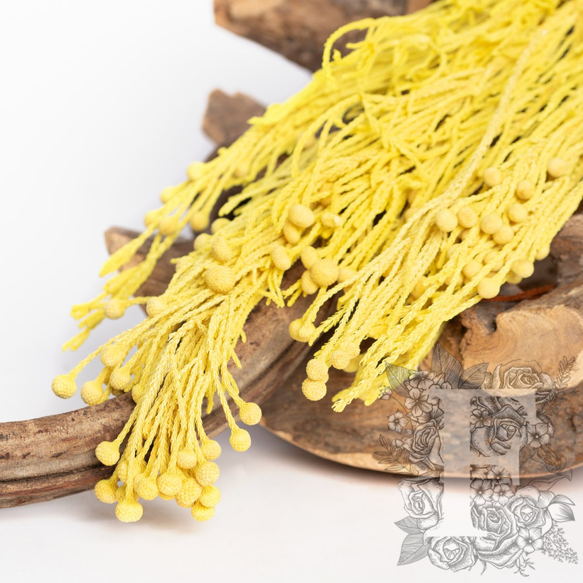 Brunia Yellow 2