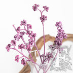 Koala Frosted Purple 2