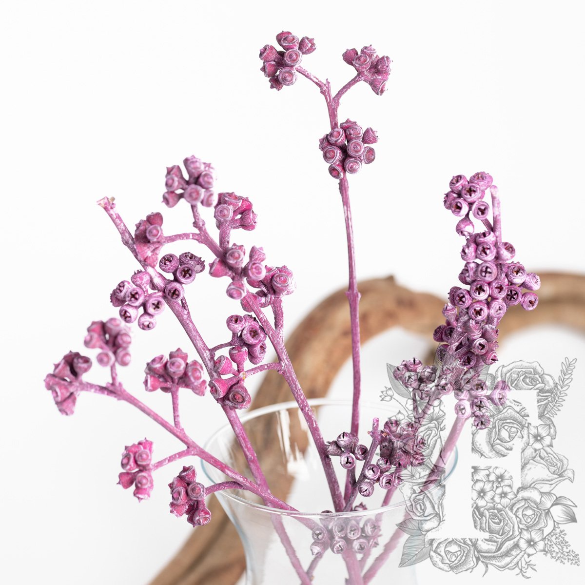 Koala Frosted Purple 2