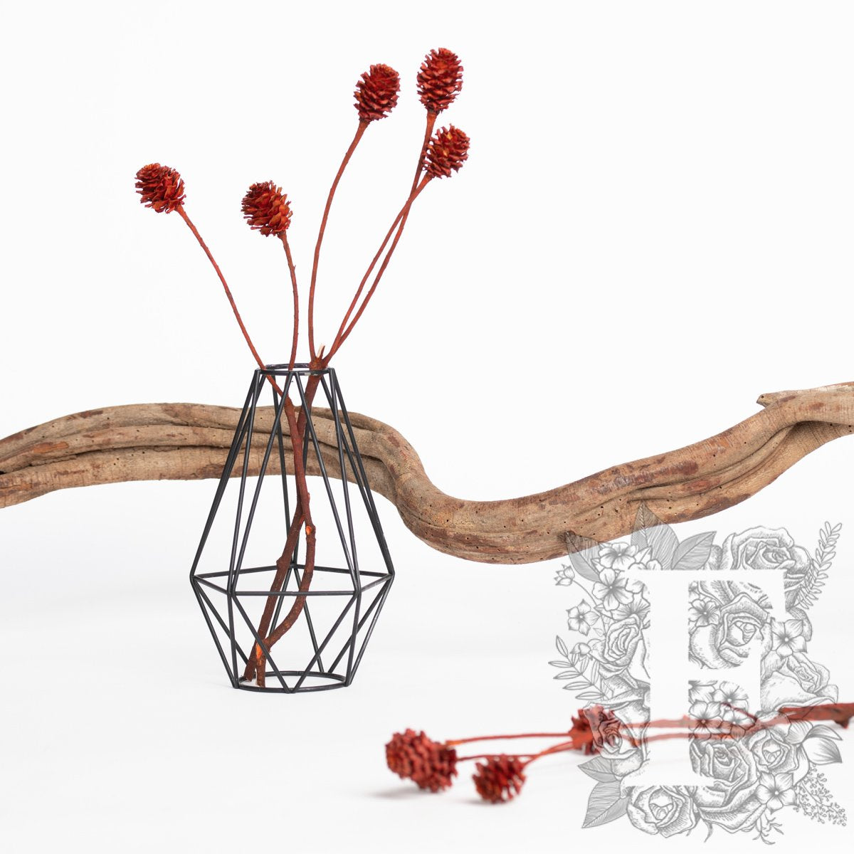 Saligum - Branch - 3 Stems