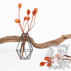 Saligum - Branch - 3 Stems