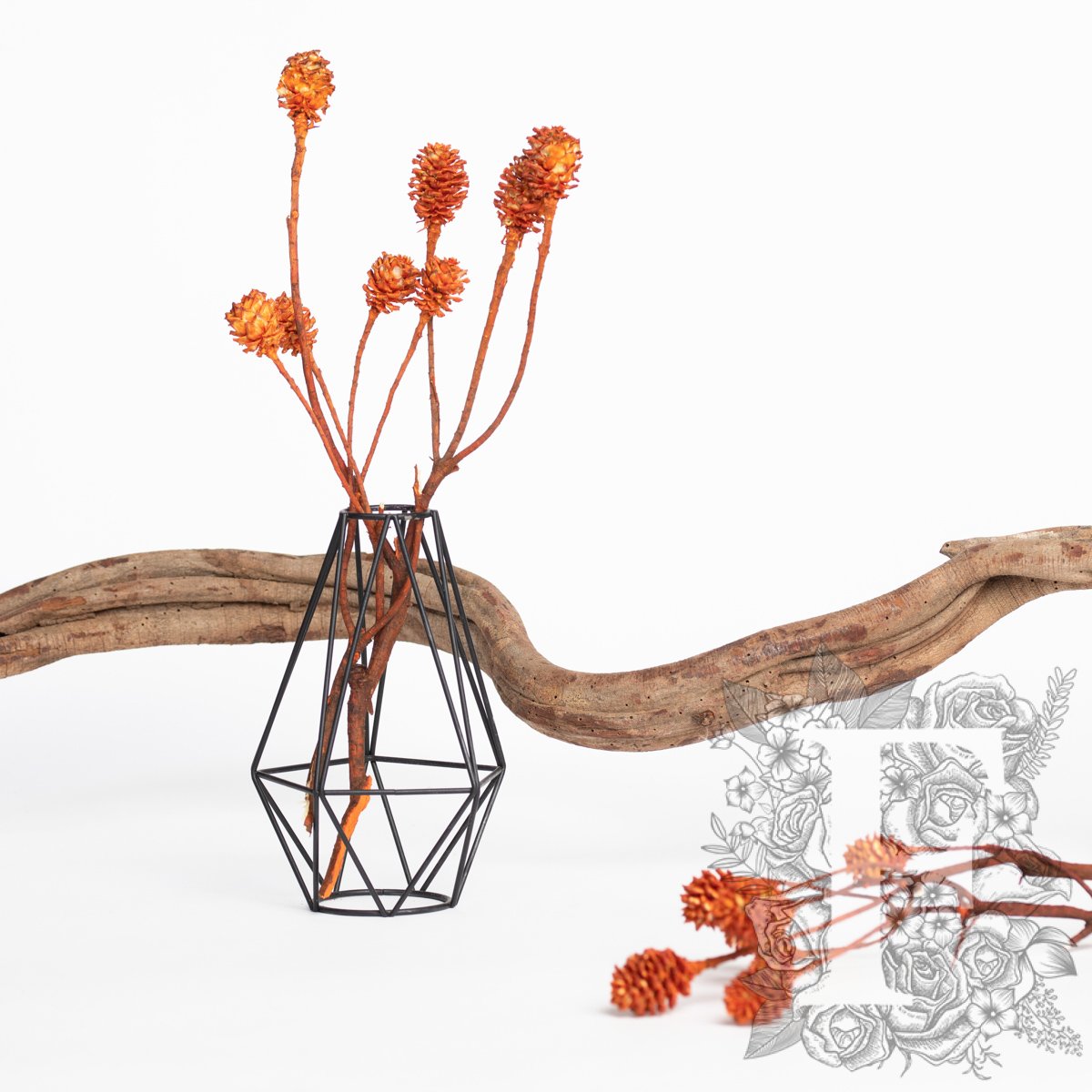Saligum - Branch - 3 Stems