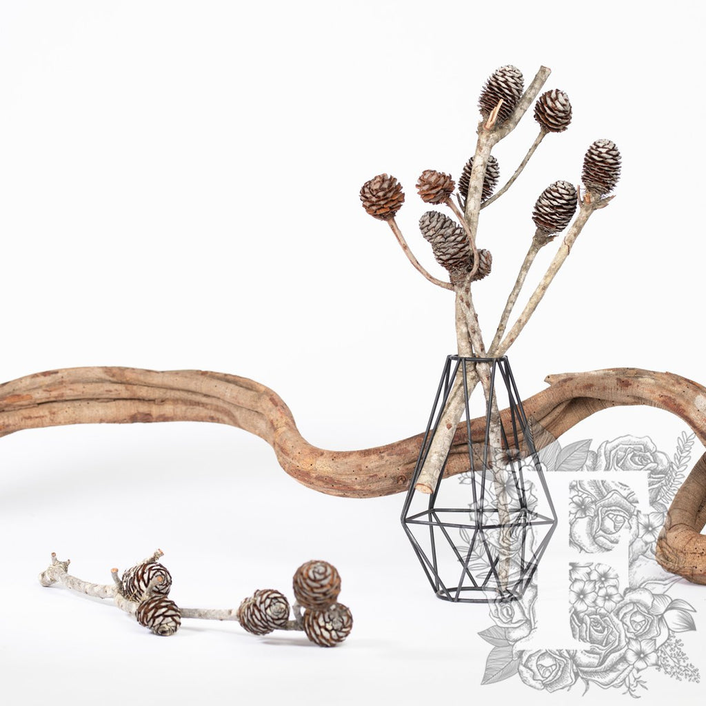 Sabulsom - Branch - 3 stems