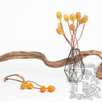 Sabulsom - Branch - 3 stems