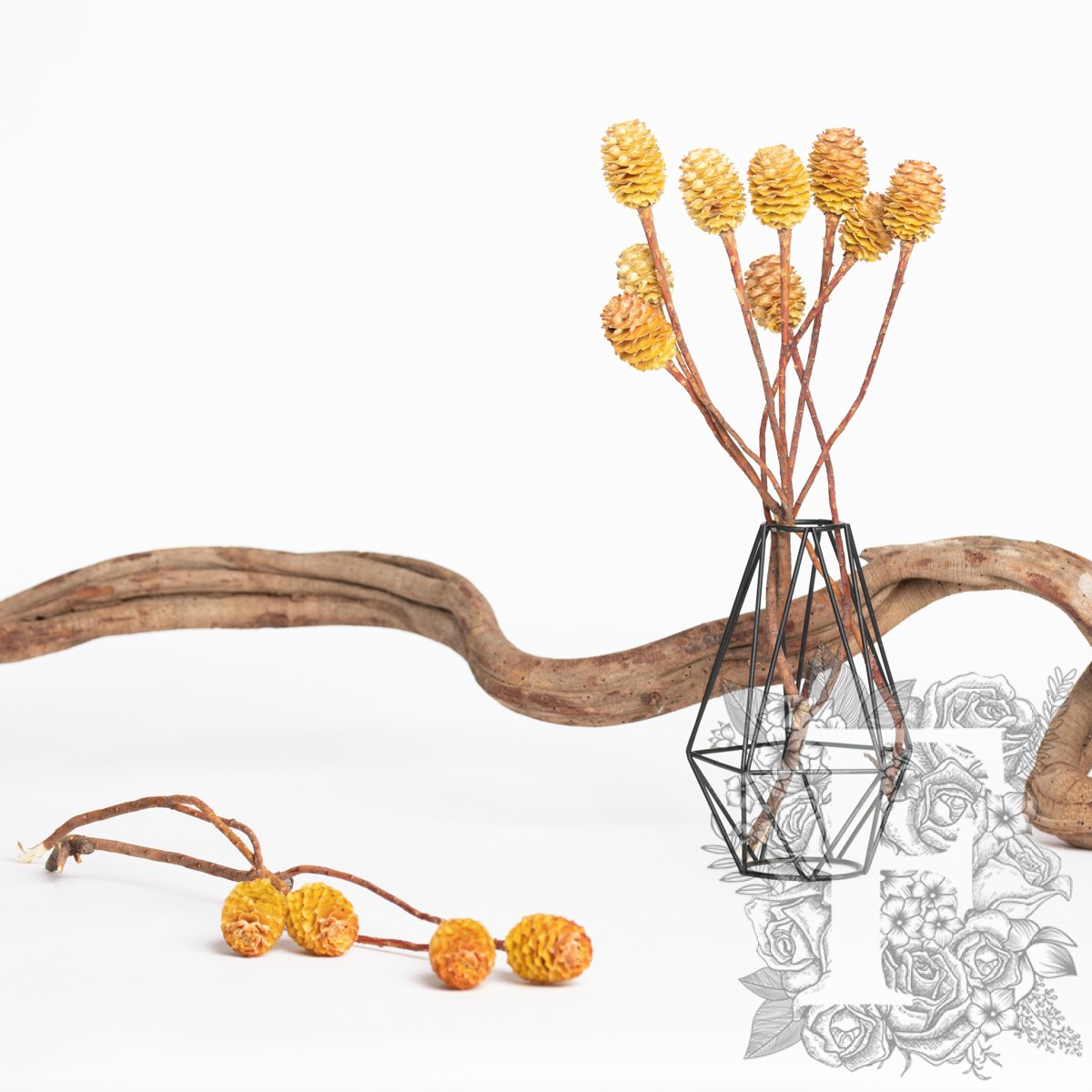 Sabulsom - Branch - 3 stems