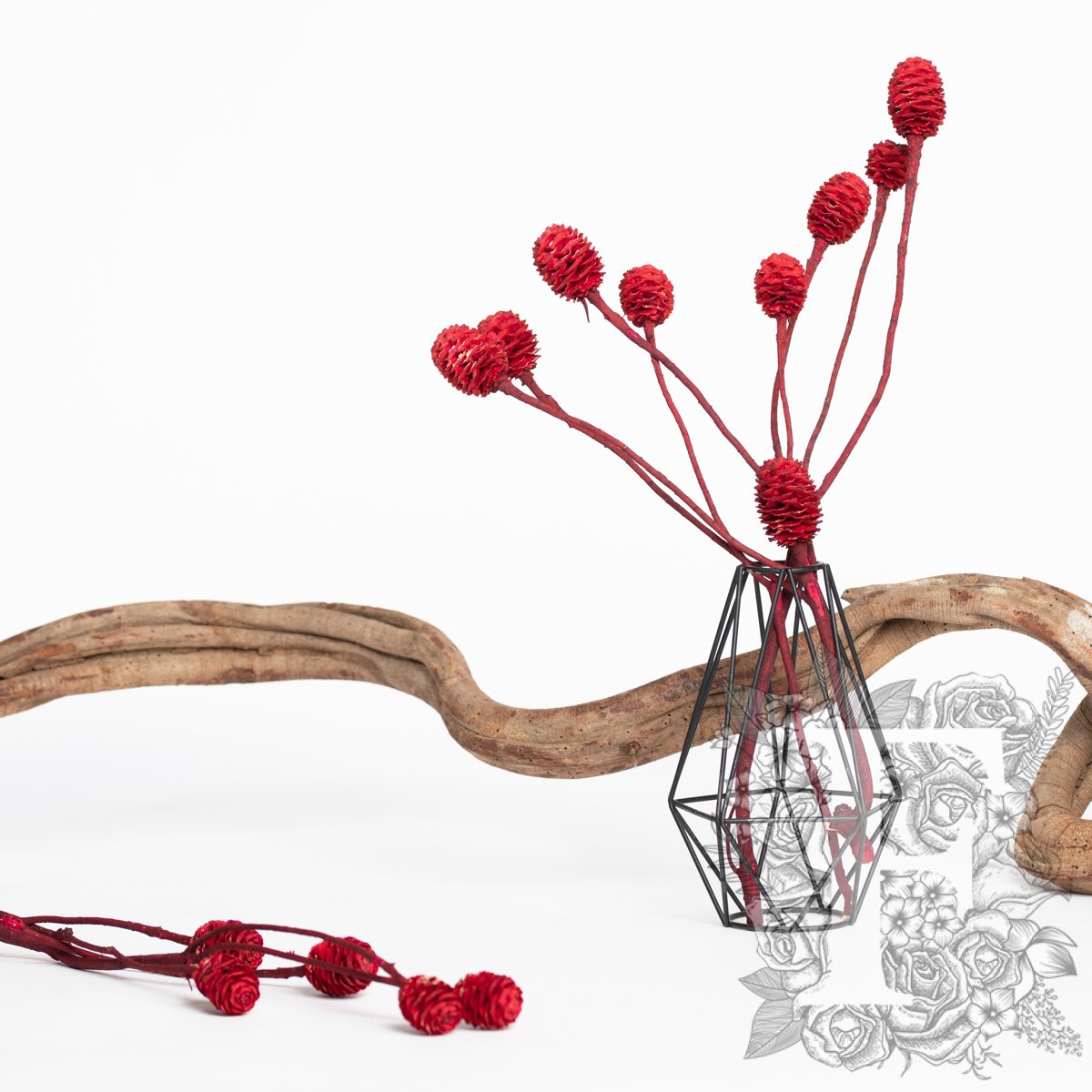 Sabulsom - Branch - 3 stems