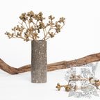 Mushroom Gum - Branch