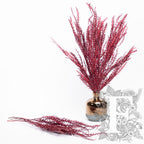 Grevilia - Bunch