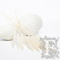 Pampas - Mini - Classic -10 Stems