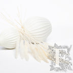 Pampas - Mini - Classic -10 Stems