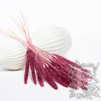 Pampas - Mini - Classic -10 Stems