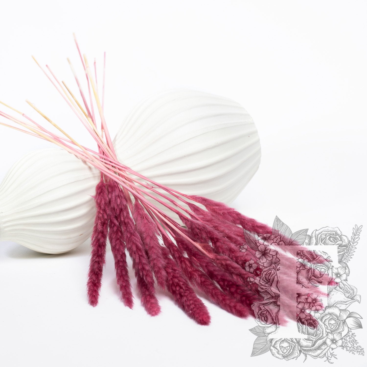 Pampas - Mini - Classic -10 Stems