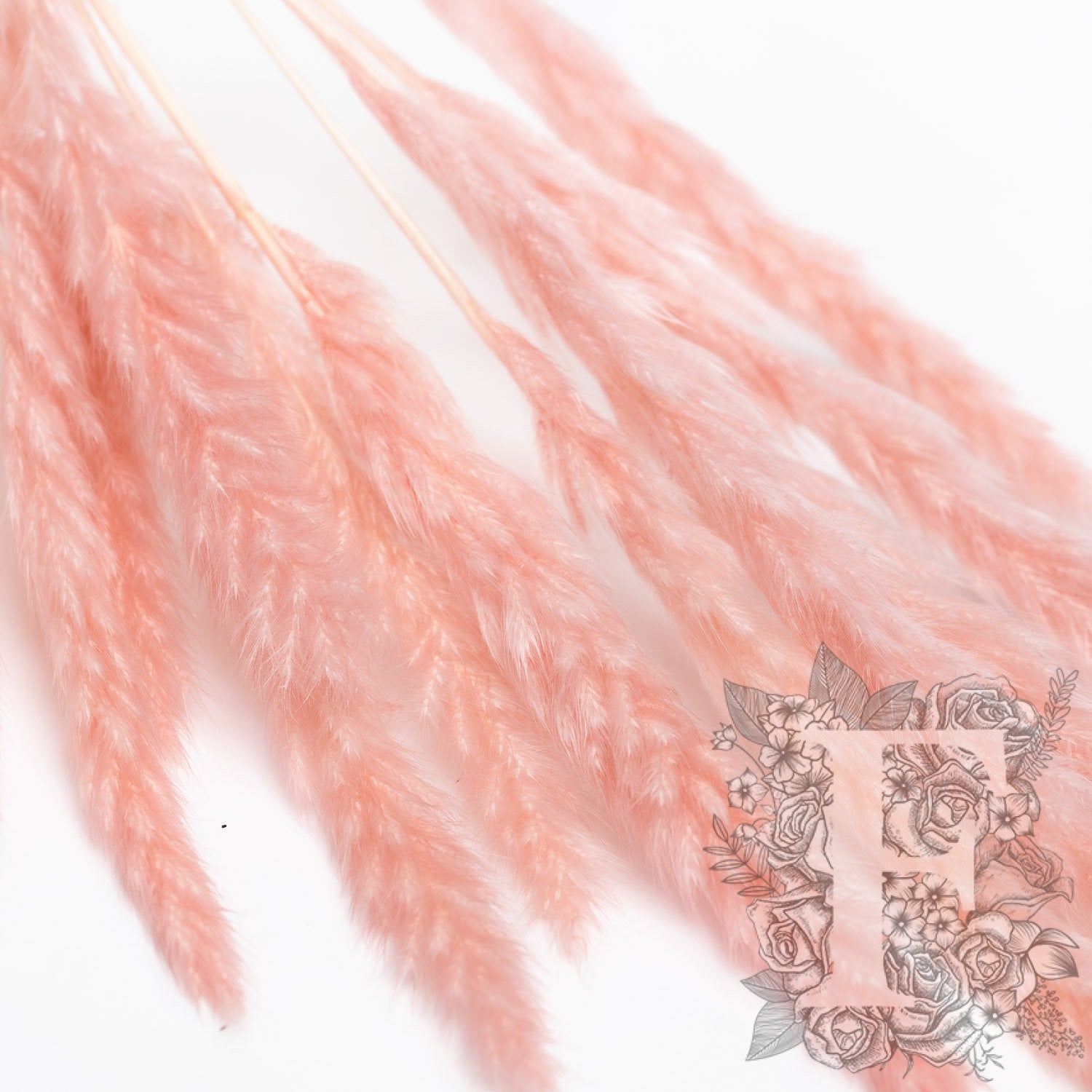 126 Endura_16.07.21-171