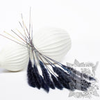 Pampas - Mini - Classic -10 Stems